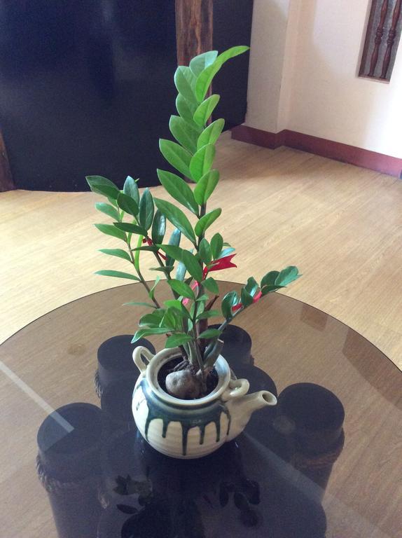 Bahay Ni Tuding - House Of Tuding Hotel Davao Ngoại thất bức ảnh